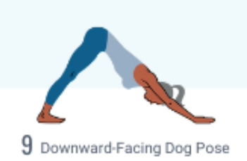 Ashwa Sanchalanasana